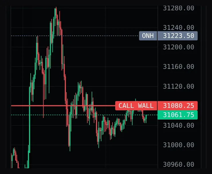Real capture: the call wall line on the MNQ 5-minute chart, labelled CALL WALL 31080.25, just above the last price 31061.75.