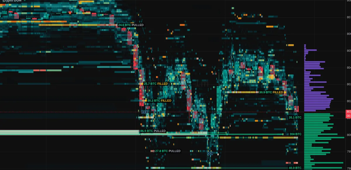 BTC/USDT one-minute chart with a liquidity heatmap behind the price, labelled resting orders, and depth bars on the right edge.